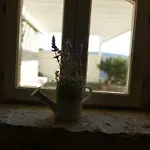 Adora Villa Motovun