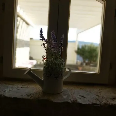 Adora Villa Motovun
